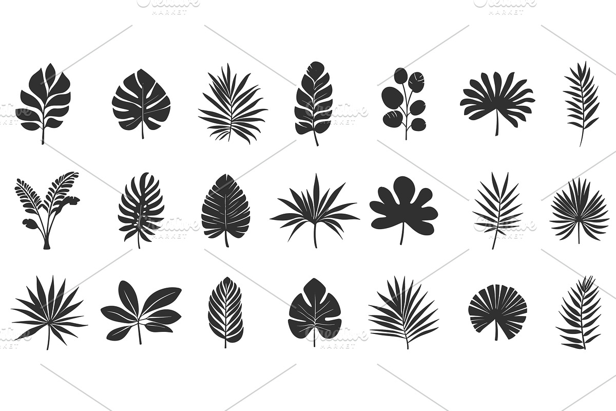 Tropical palm leaves silhouette, an Object Illustration by Valerie Bodnar