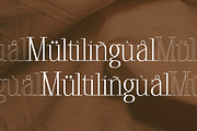 Glorious Copper Family, a Serif Font by Lettertype Studio (Thumbnail 19 of 20)