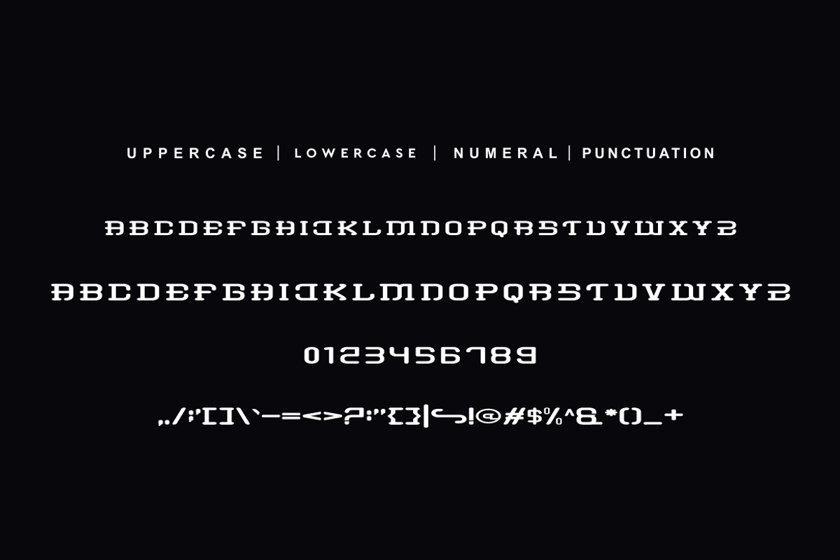 Speed Cyber, a Serif Font by QR Design Studio (Photo 5 of 6)