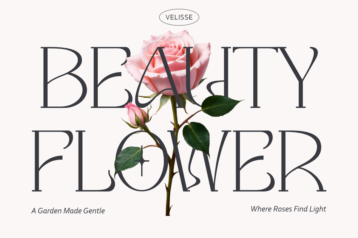 Velisse Feminine Serif Font, a Serif Font by PutraCetol Studio (Photo 2 of 5)
