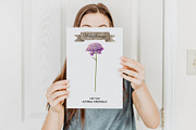 Watercolor wildflower meadow clipart, an Object Illustration by Art and Funny (Thumbnail 3 of 4)