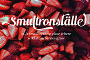 Switzerland, a Script Font by Funtype (Thumbnail 4 of 14)