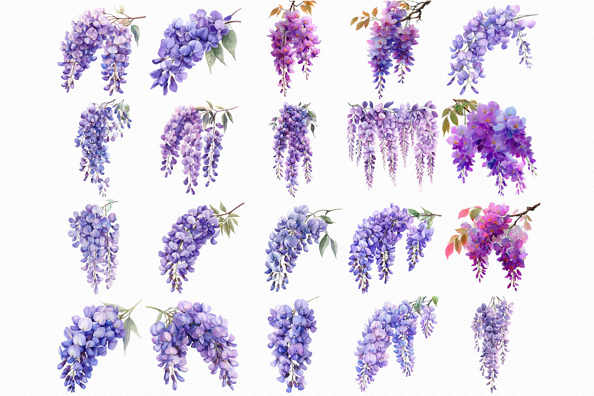 Watercolor Wisteria Garden Clipart, an Illustration by Libby Wishes (Photo 6 of 7)
