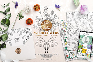Botanical Wildflowers. Patterns