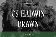 CS Hadwin Drawn, a Serif Font by Craft Supply Co. (Thumbnail 1 of 8)