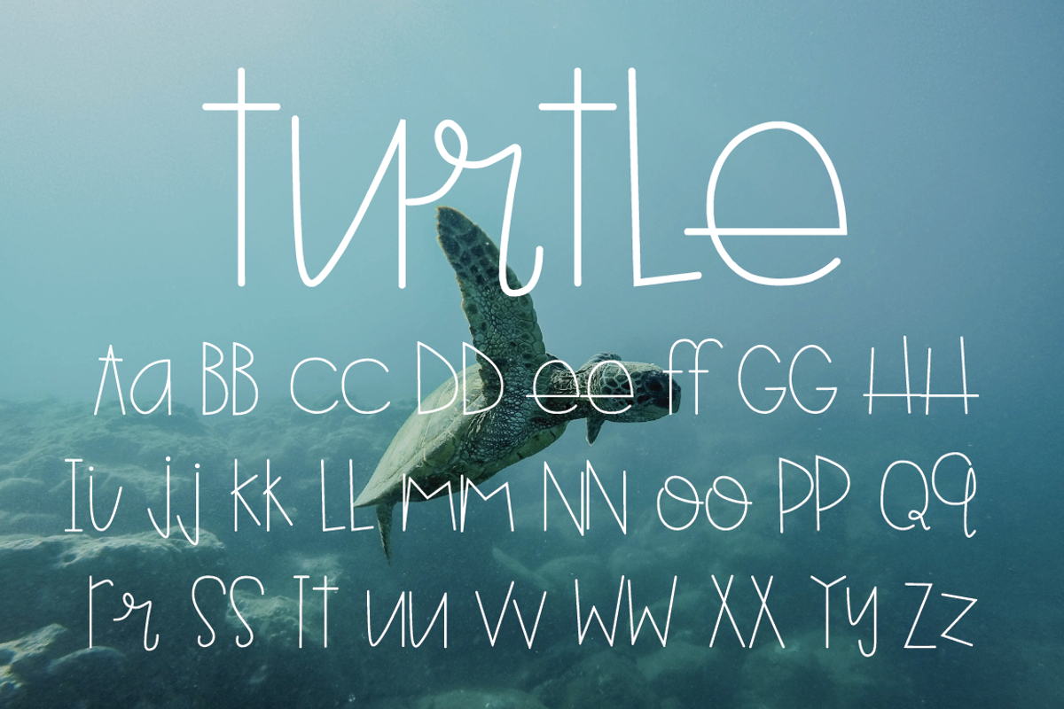 Turtle