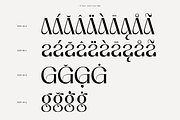 DT Garet – Luxury Serif Typeface, a Font by Diztinct Type (Thumbnail 5 of 12)
