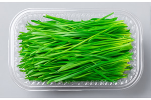 Closeup of microgreens as they are, a Food & Drink Photo by ZinetroN