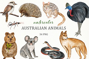 Watercolor Australia Animals Clipart