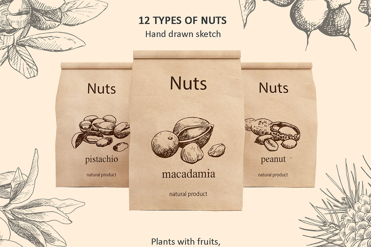 Hand Drawn Nuts set Vector, a Food Illustration by ON_lineart_store (Photo 2 of 11)