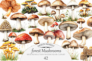Forest Mushrooms Clipart, an Illustration by Design Market (Thumbnail 1 of 5)