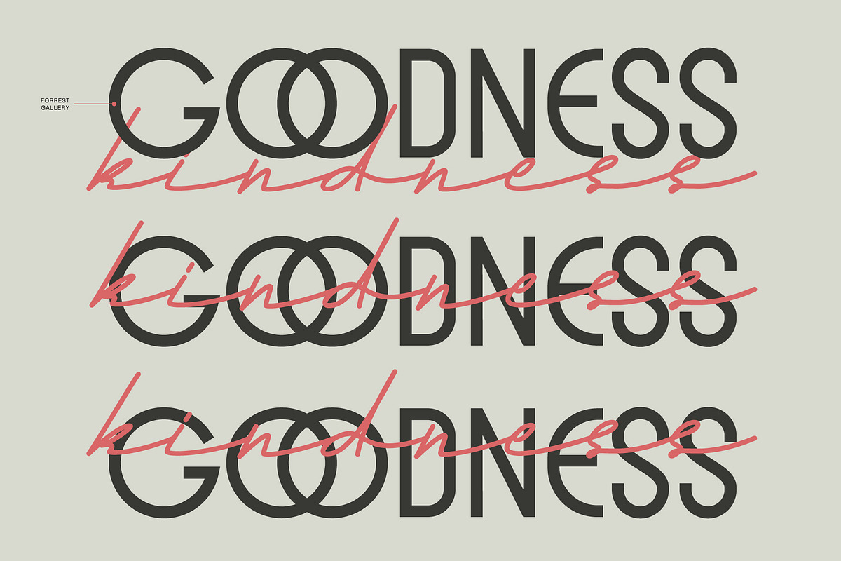 Andalusia a Beautiful Script Font, a Script Font by Lettertype Studio (Photo 3 of 19)