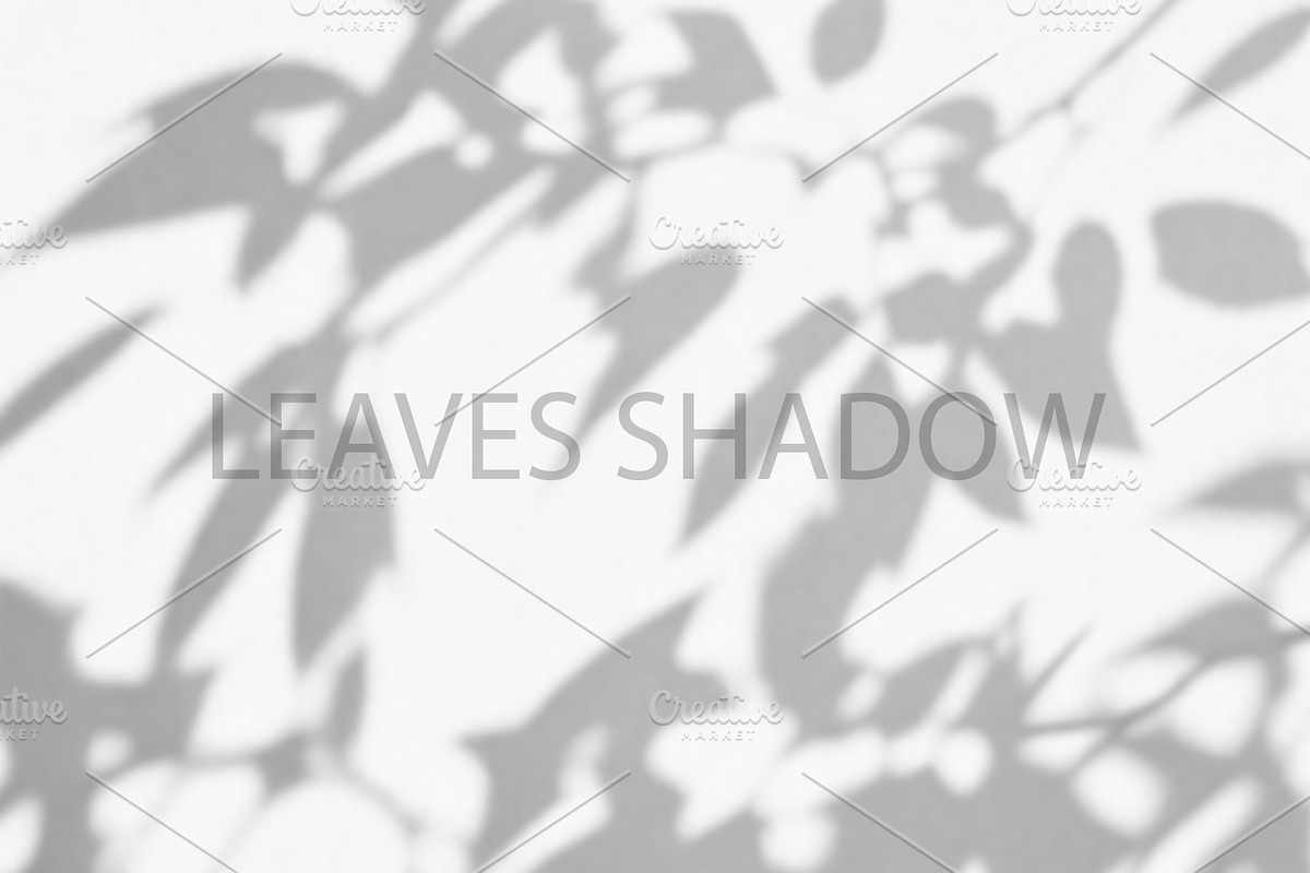 Leaves Shadow on Wall Background., a Background Graphic by kaisorn (Photo 8 of 8)