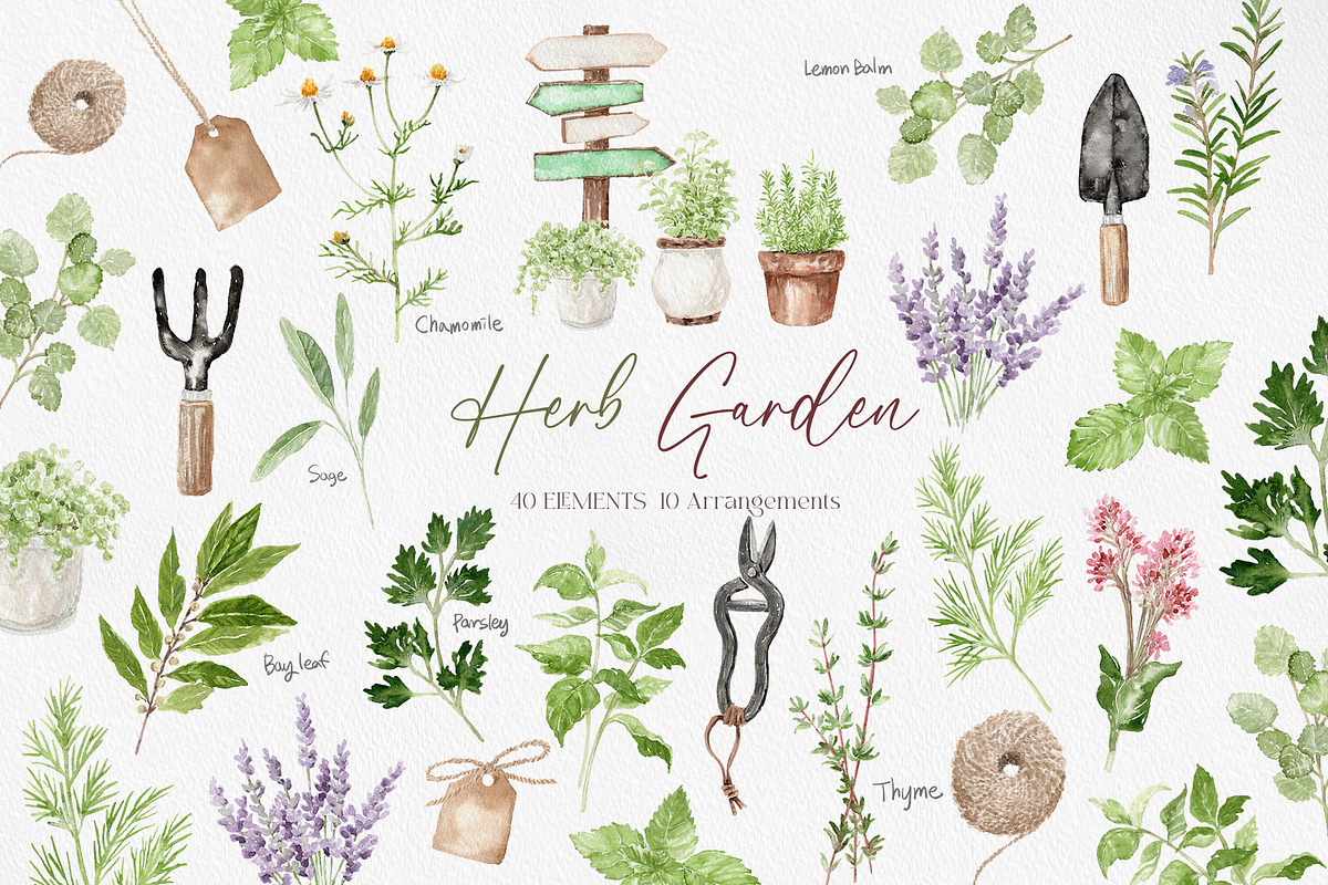 Watercolor HERB GARDEN Clipart, a Decorative Illustration by Beigetime (Photo 1 of 8)