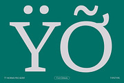 TT Norms Pro Serif, a Serif Font by TypeType (Thumbnail 4 of 15)