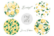 Watercolor Citrus Fruit Lemon, a Food Illustration by MayaNavits (Thumbnail 3 of 11)