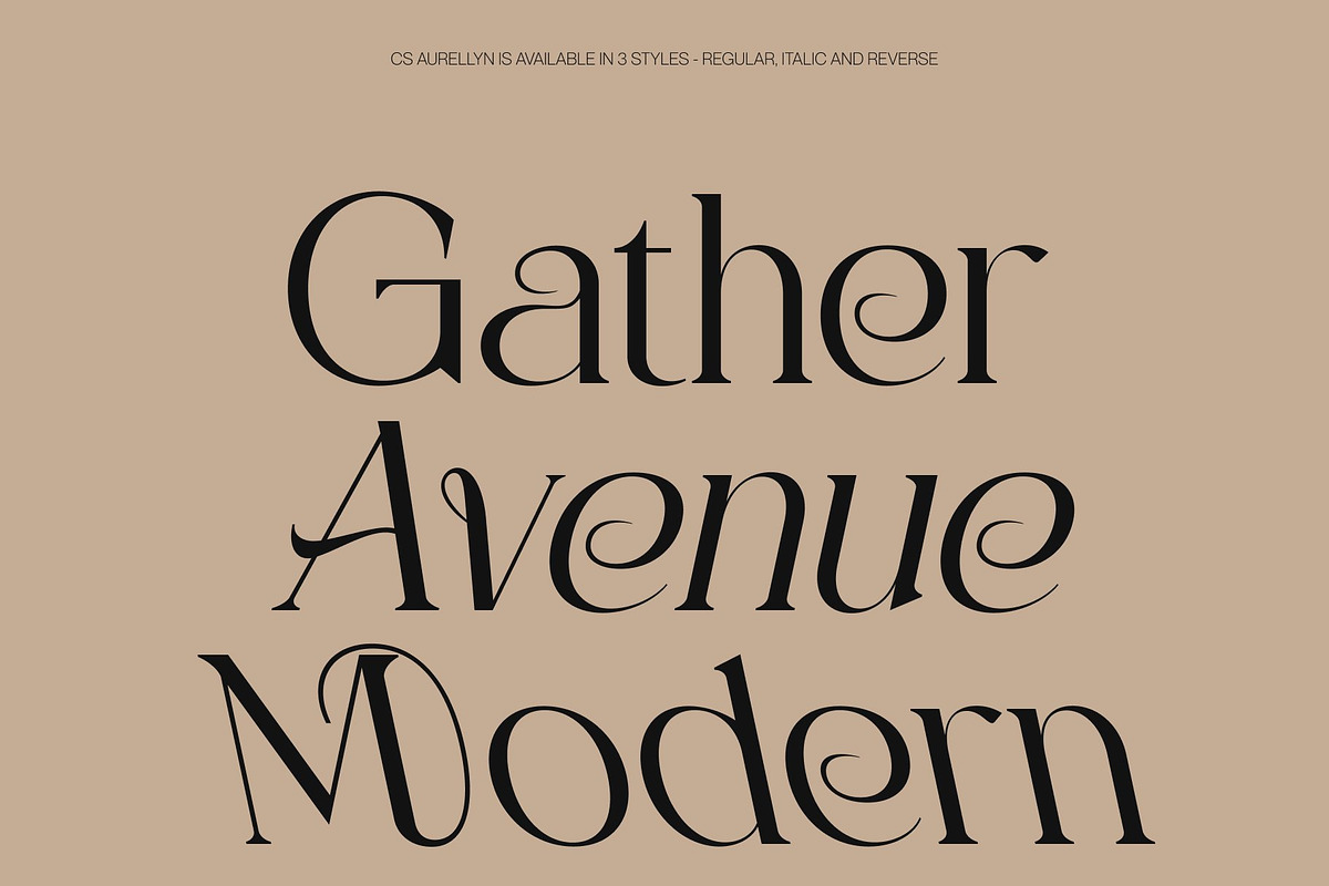 CS Aurellyn – Art Nouveau Font, a Serif Font by Craft Supply Co. (Photo 4 of 8)