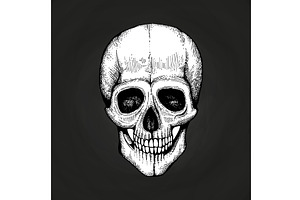 Hand Sketched Vector Death Scary