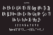 Lambe Doer, a Script Font by Lythcreative (Thumbnail 9 of 9)