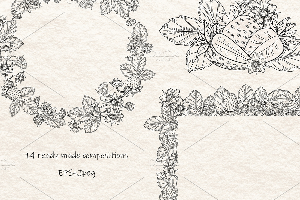 Strawberry Vector Ink Illustration, a Food Illustration by Milla_Zelenyuk_art (Photo 3 of 5)