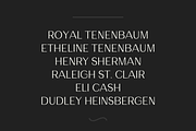 Etheline - A classy Grotesque Sans, a Sans Serif Font by Great Scott! (Thumbnail 4 of 6)
