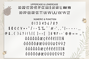 Christmas Alphabet | Script Font, a Script Font by Scratchones (Thumbnail 7 of 8)