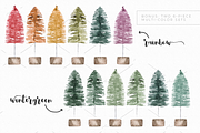 Watercolor bottlebrush trees, a Decorative Illustration by plaidGecko (Thumbnail 4 of 4)