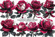 Valentine’s Rose Clipart Bundle, an Illustration by Canvas Craft (Thumbnail 1 of 6)