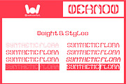 Synthetic Flora font, a Font by weknow (Thumbnail 7 of 8)