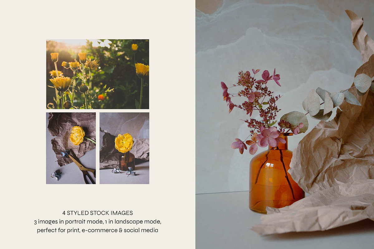 Ars Botanica | Full Identity Pack, a Branding & Logo Template by The Responsible Creatives (Photo 6 of 17)