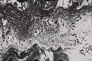 Twisted by Nature Vol 3, a Texture Graphic by Jennifer Lauren Creative (Thumbnail 12 of 16)