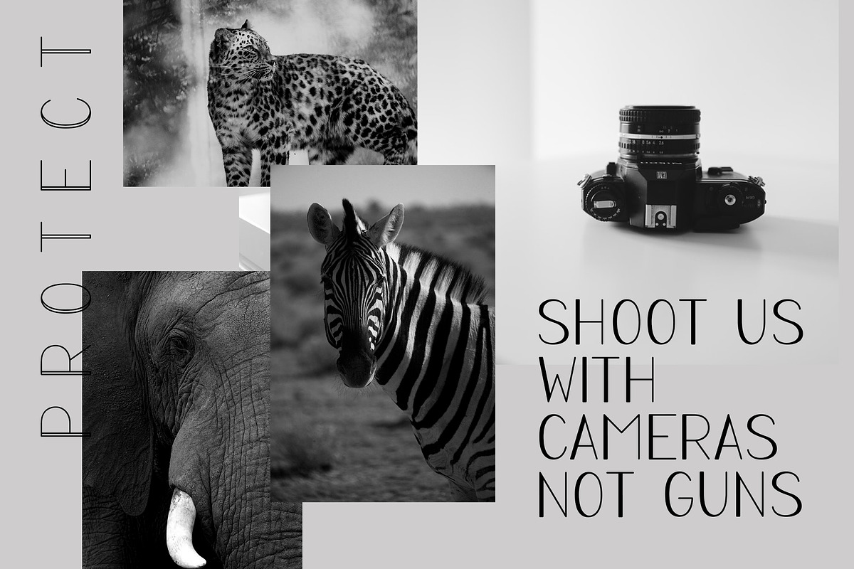 PROTECT Sans Serif Font Family preview 3