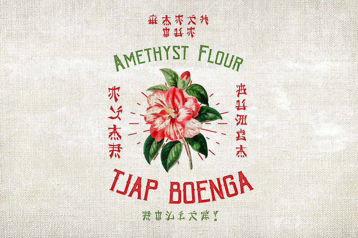 Chinese look fonts | Neo China, a Sans Serif Font by tomatstudio (Photo 6 of 7)