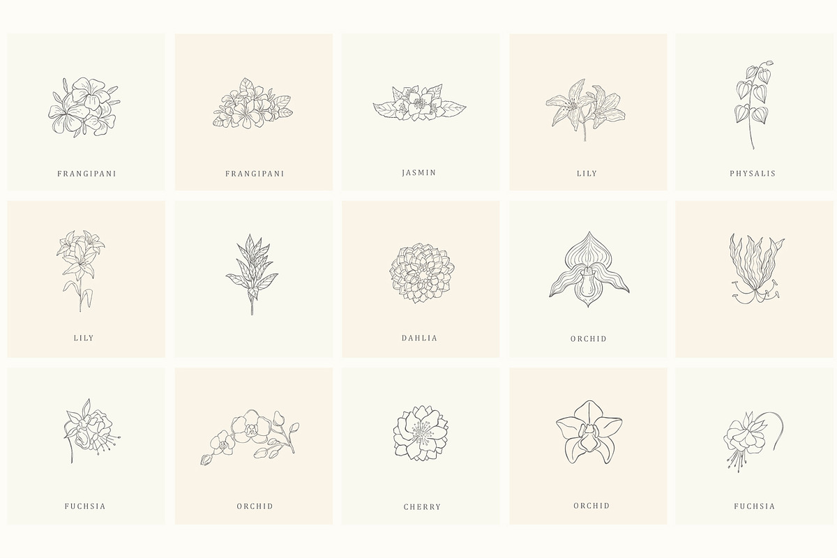 Botanical Hand Drawn Designs, Logos, a Seasonal Illustration by Designwork (Photo 2 of 22)