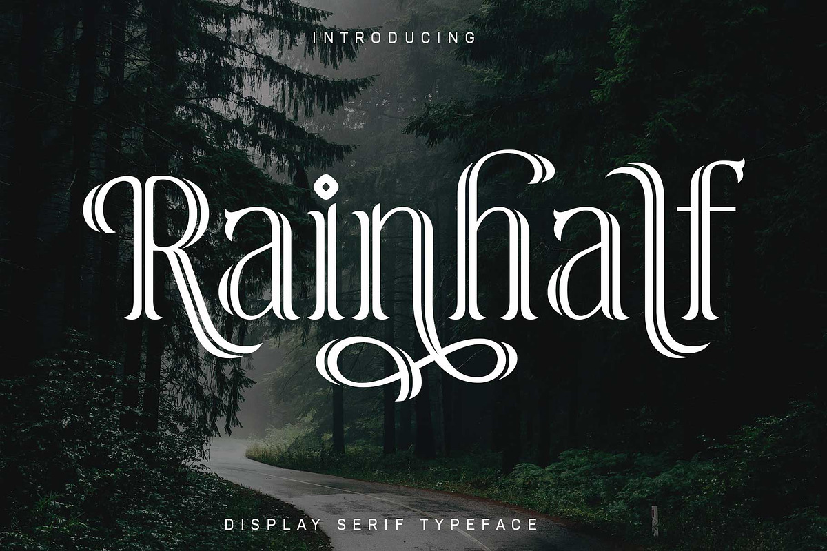 Rainhalf-Beautiful Display Serif, a Serif Font by Arterfak Project (Photo 1 of 13)