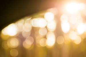 Bokeh Background, a Background Photo by THP Creative