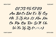Falria Serin – Elegant Beauty Script, a Script Font by MaikoHatta (Thumbnail 6 of 8)