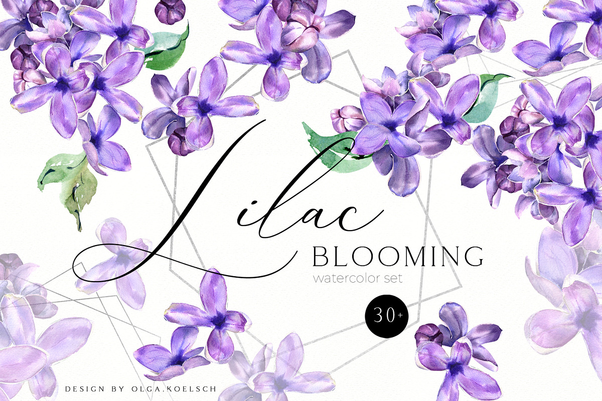 Sale 50% Lilac Blooming Spring, an Illustration by Olga Koelsch (Photo 1 of 9)