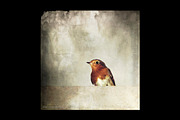 Fine Art Texture Collection, a Texture Graphic by dyrkwyst textures (Thumbnail 3 of 6)