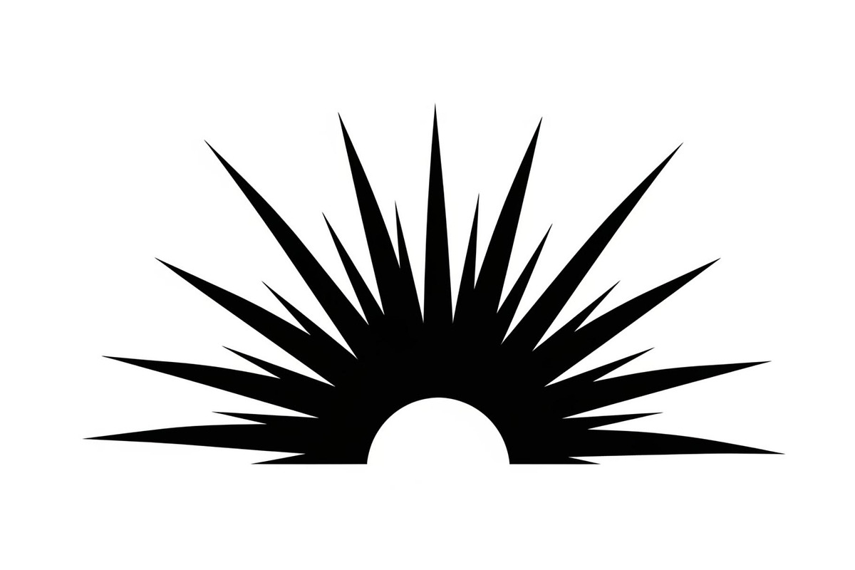 Abstract Sunburst Silhouette Set, a Graphic by hafijul (Photo 10 of 11)