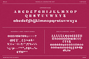 Ramolia Vintage Display Font, a Serif Font by RantautypeStudio (Thumbnail 15 of 17)