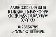 Hatem, a Serif Font by Drizy (Thumbnail 8 of 11)