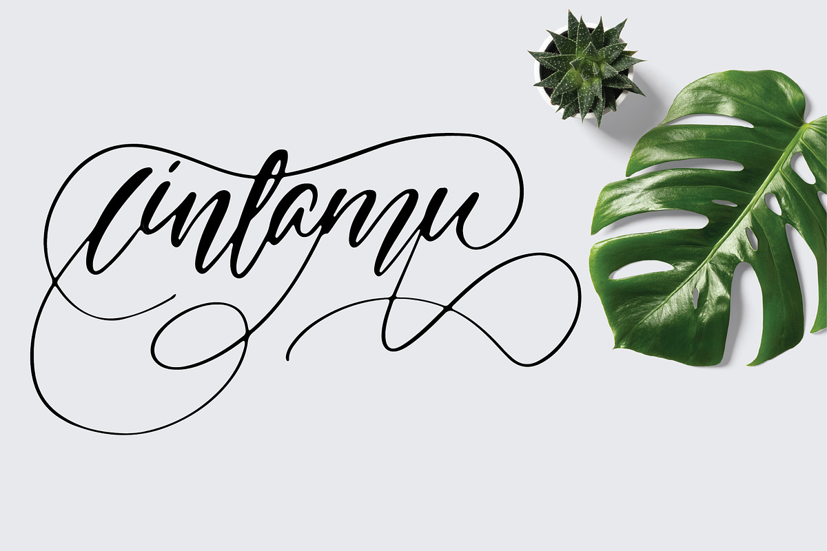expose font preview 2