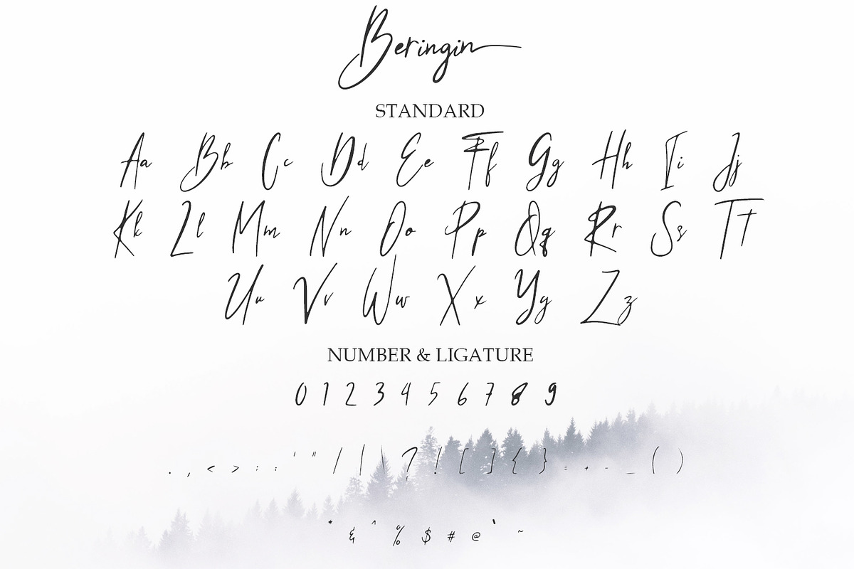 Beringin Stylish Signature Font preview 6