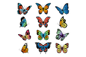 Various Cartoon Butterflies. Set