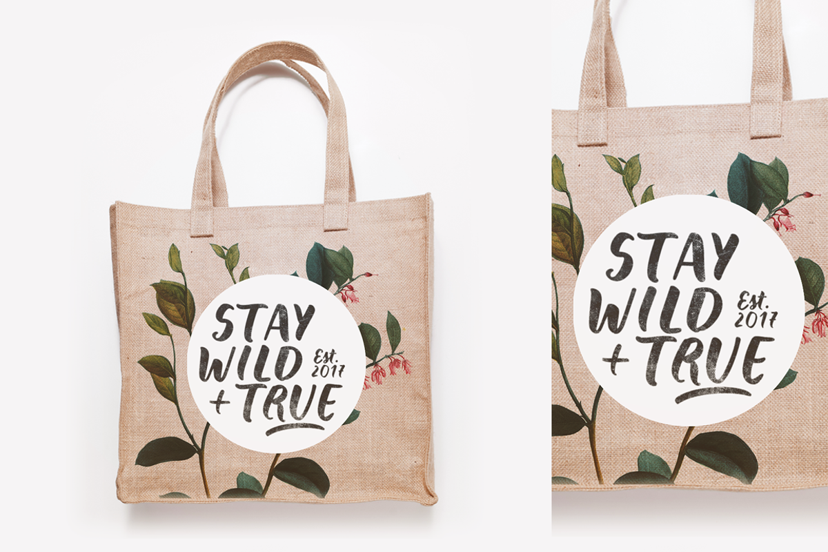 Wild Creatures brush font family preview 4