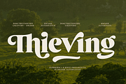 Briston Serif, a Serif Font by Fenotype (Thumbnail 7 of 14)