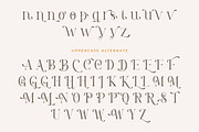 Pastel Orange - Casual Serif Fonts, a Serif Font by HansCo Studio (Thumbnail 11 of 12)