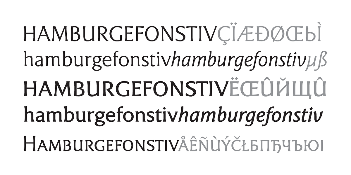 Epigraph, a Serif Font by PESIC (Photo 7 of 7)
