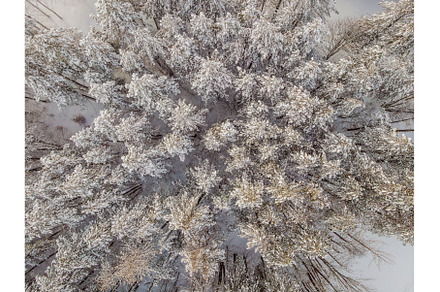 Aerial view of a winter snow-covered, a Nature Photo by Elizaveta Galitskaya